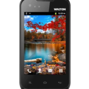 Walton Primo D1