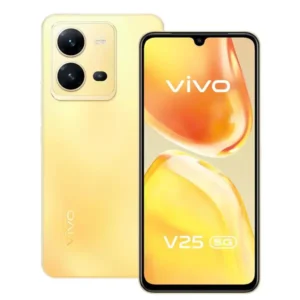 Vivo V25e